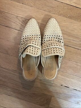Freda Salvador Woven Pointed Mule in Beige